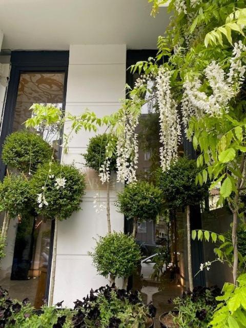 Ab Residences -cihangir Luxury Antique Daire
